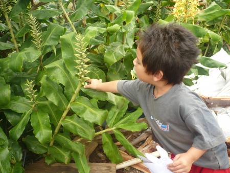 Olivier � la coeuillette des oeufs.